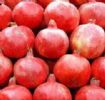 Pomegranate Hull P.E 